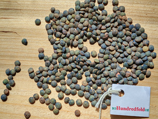 Hundredfold 2LBS Organic French Green Lentils - Non GMO Canada Grown Excellent for Muscle Builders, Vegans & Vegetarians