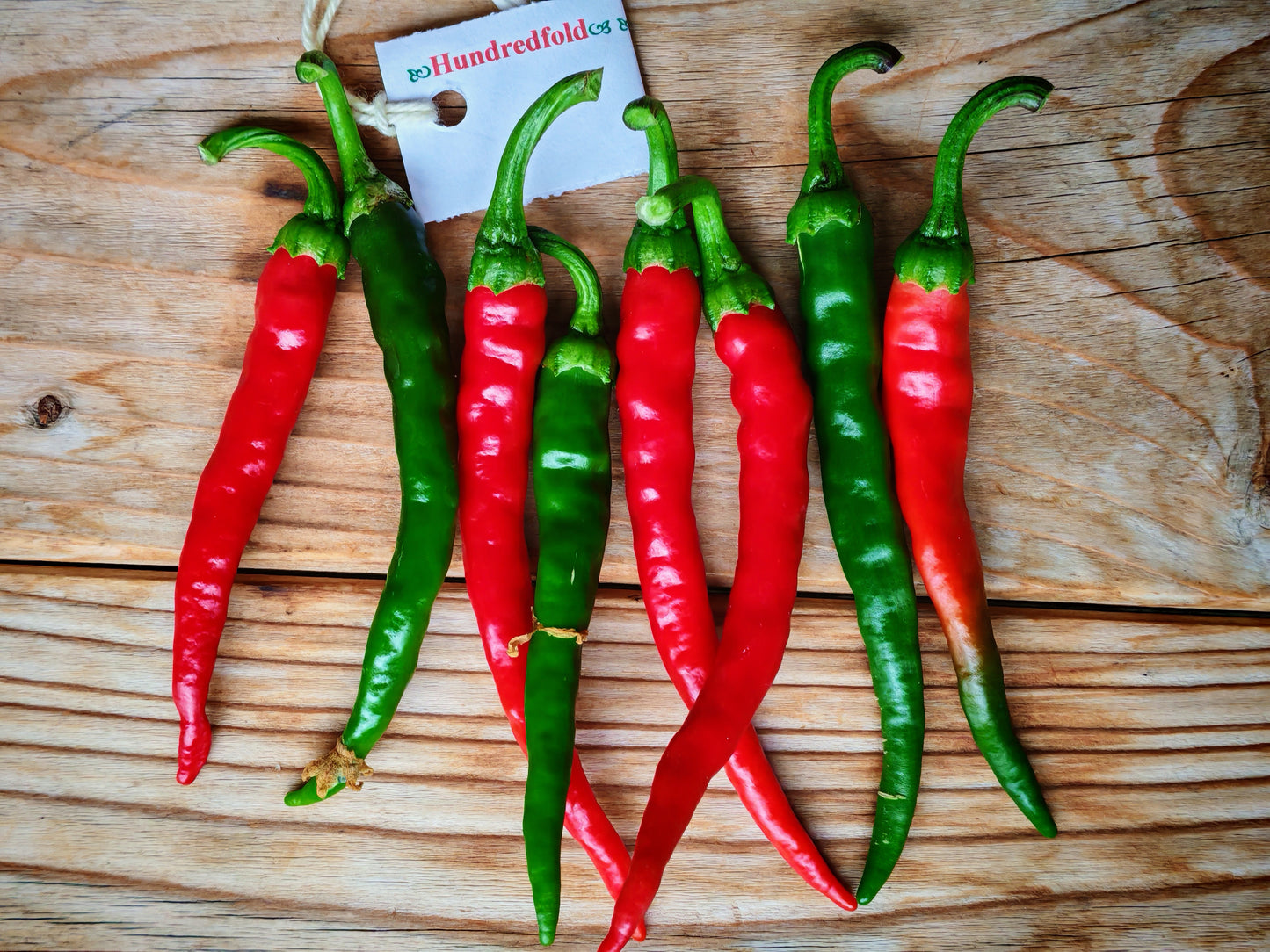 Long Red Narrow Cayenne Hot Pepper 50 Vegetable Seeds, Capsicum annuum, Medium Hot, Medium Hot, Heirloom, Fruity & Spciy, Excellent for Chilli Pastes and Dried Peppers