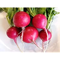 Hundredfold Cherry Belle Summer Radish 200 Heirloom Vegetable Seeds – Raphanus sativus, Non-GMO, Microgreen or Baby Leaf