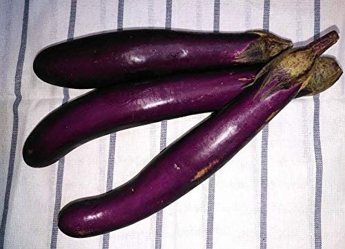 Hundredfold Chinese Long Purple Eggplant 50 Vegetable Seeds - F1 Hybrid Non-GMO for Container, Green-House or Patio