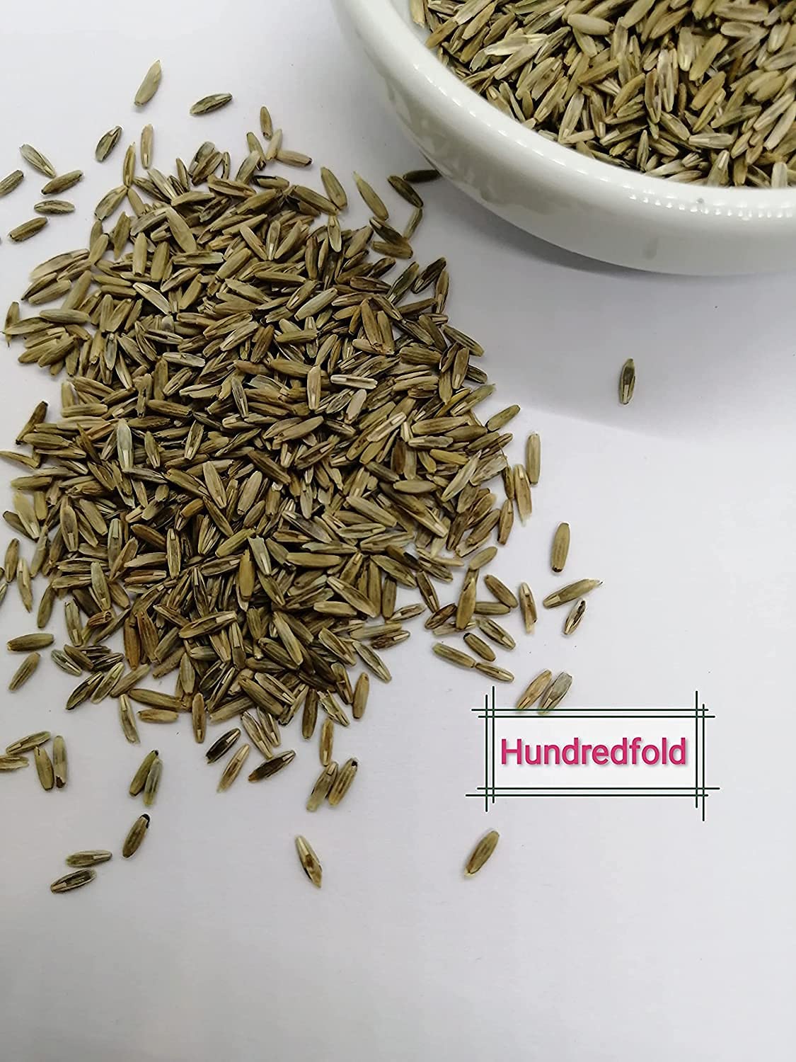 Hundredfold 25 Grams Organic Annual Ryegrass Seeds - Lolium multiflorum, Forage,  Cover Crop, Soil Enrichment and Weed Suppression
