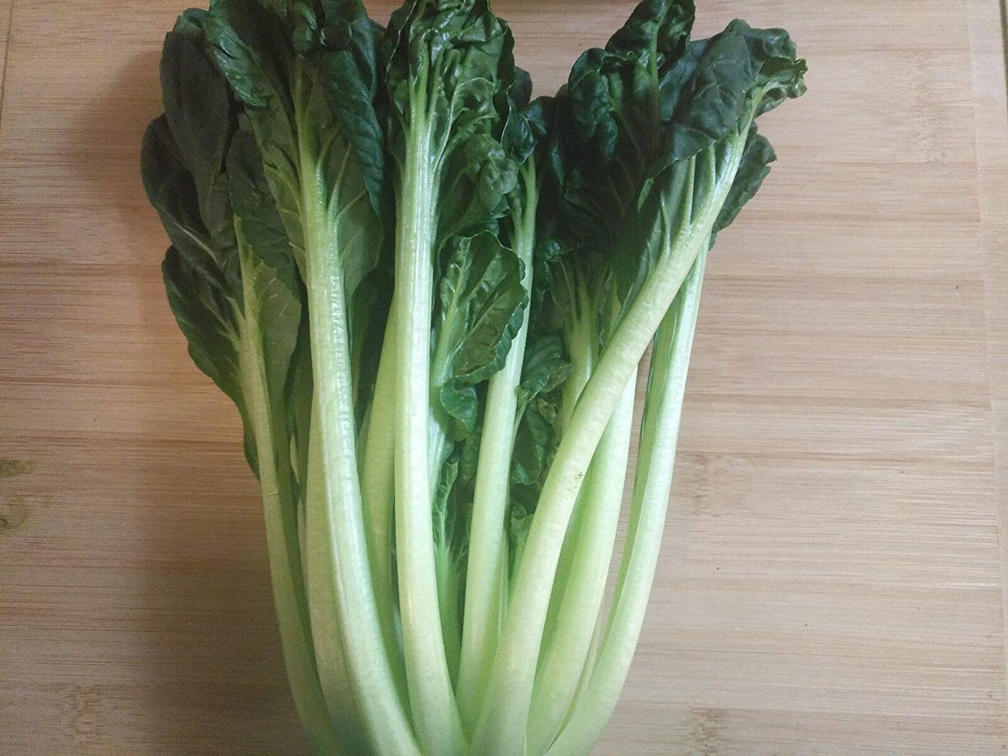 Hundredfold Tatsoi Chinese Cabbage 500 Vegetable Seeds - Brassica rapa, Pakchoi Pak Choi Heirloom Non-GMO Rosette Bok Choy, or Spinach Mustard for Home Garden Yard Balcony & Indoor Planting