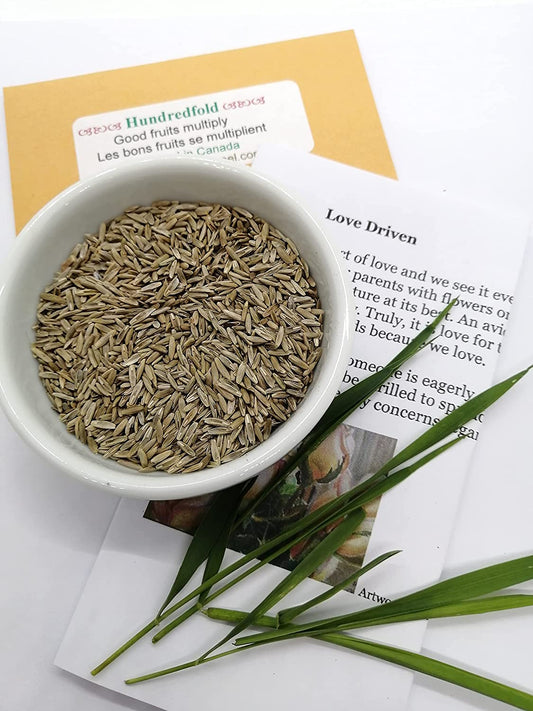 Hundredfold 4lbs Organic Annual Ryegrass Seeds - Lolium multiflorum, Forage,  Cover Crop, Soil Enrichment and Weed Suppression, Pure Seeds No Filler and No Mix