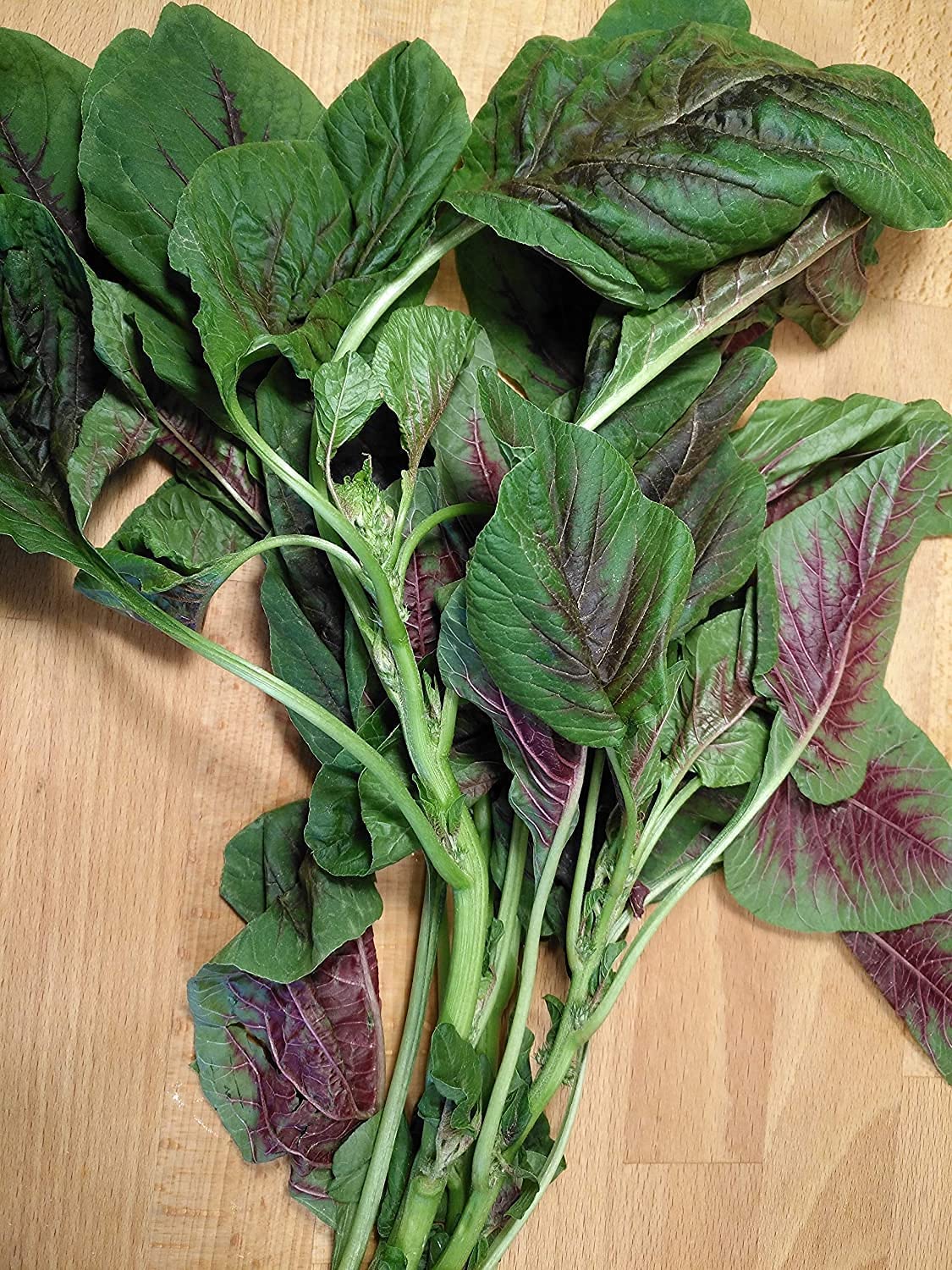 Red and Green (Red-Leaf) Amaranth 1000 Vegetable Seeds - Amaranthus Tricolor Non-GMO Heirloom Calaloo, Yin Choi, Xian CAI or Chinese Spinach, Tender Salad Greens