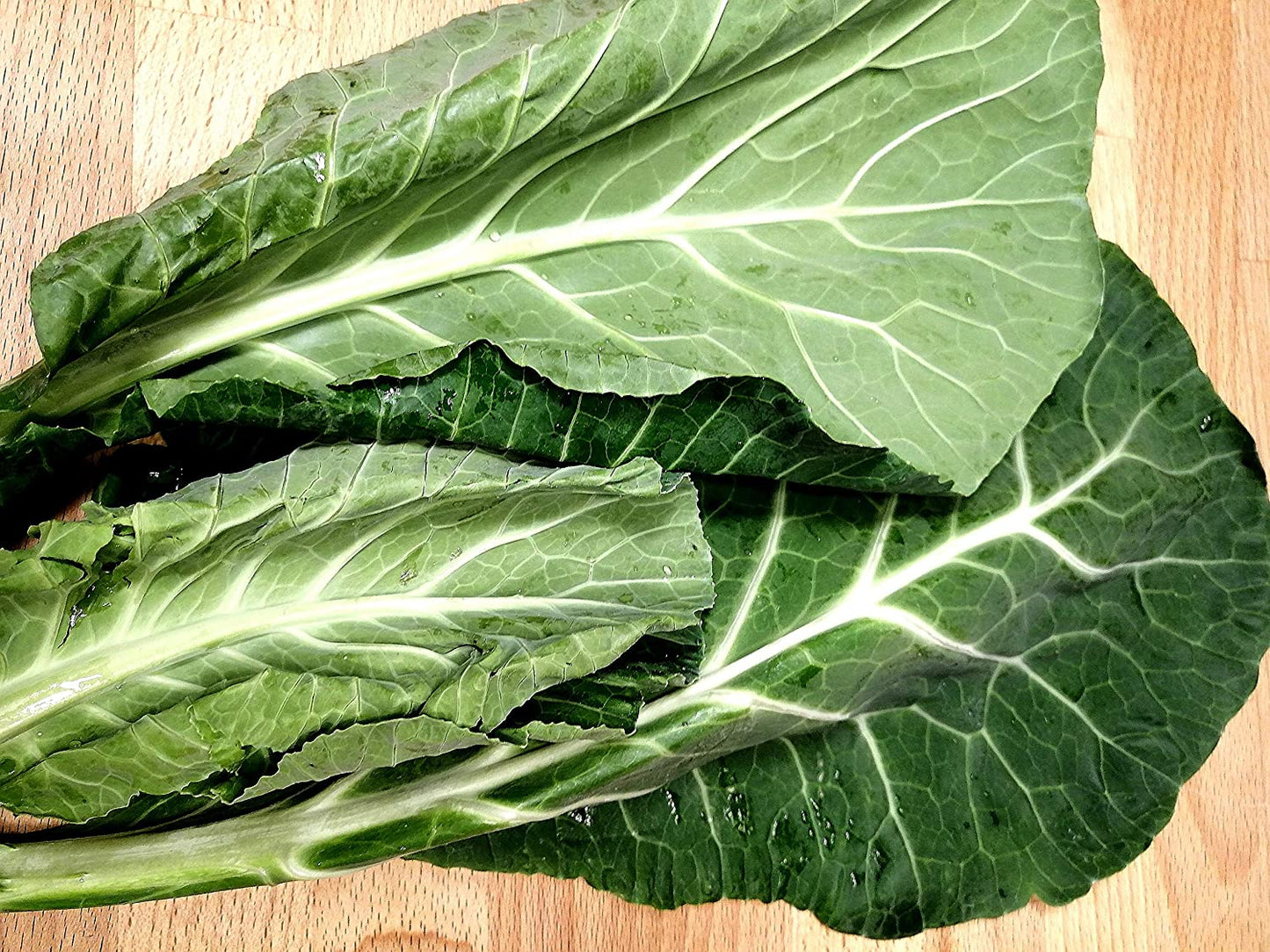 Vates Collard Vegetable 200 Seeds - Brassica oleracea Non-GMO, Microgreens/Collard Greens